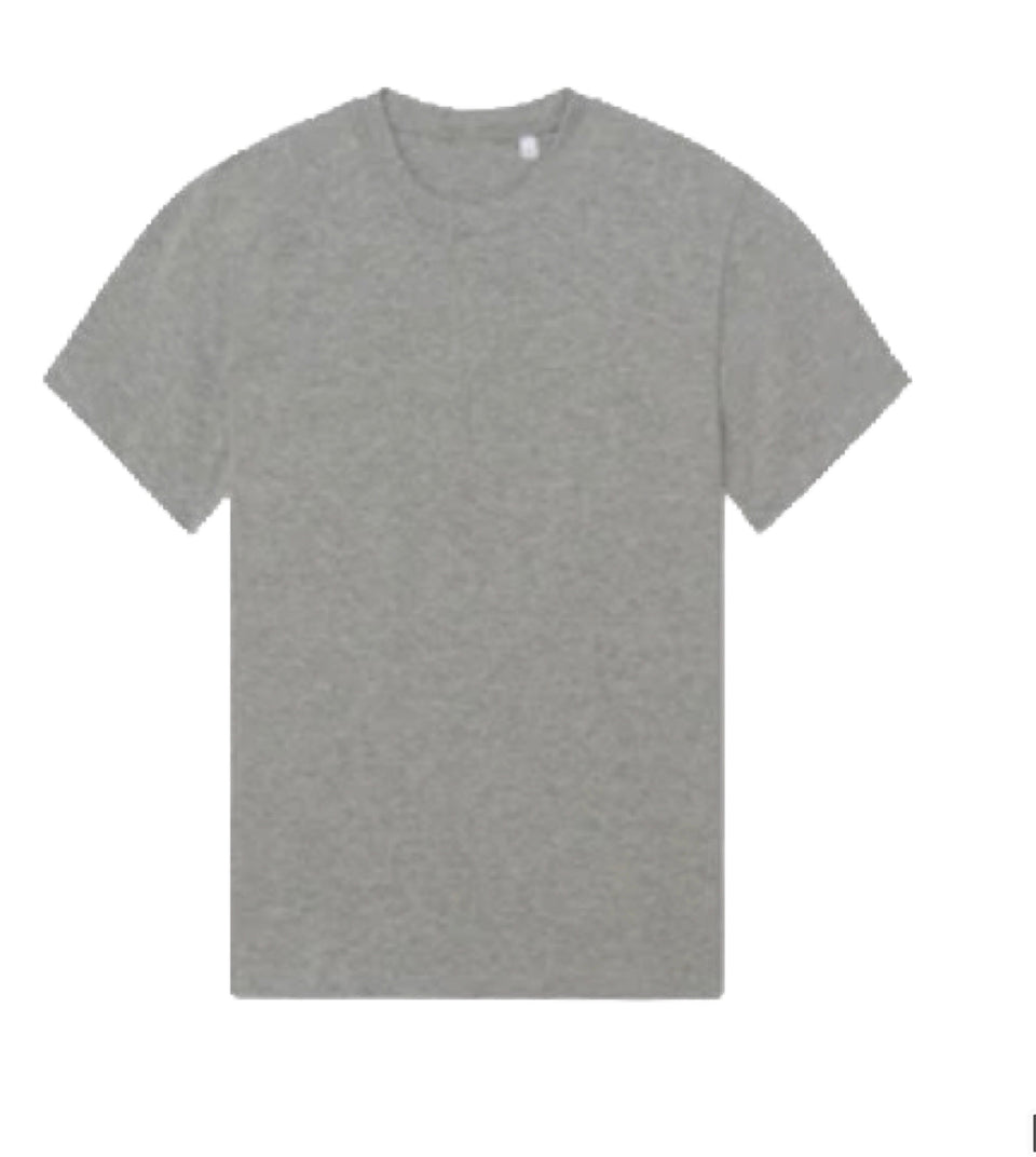 MILO AND DEXTER Classic t-Shirt en gris