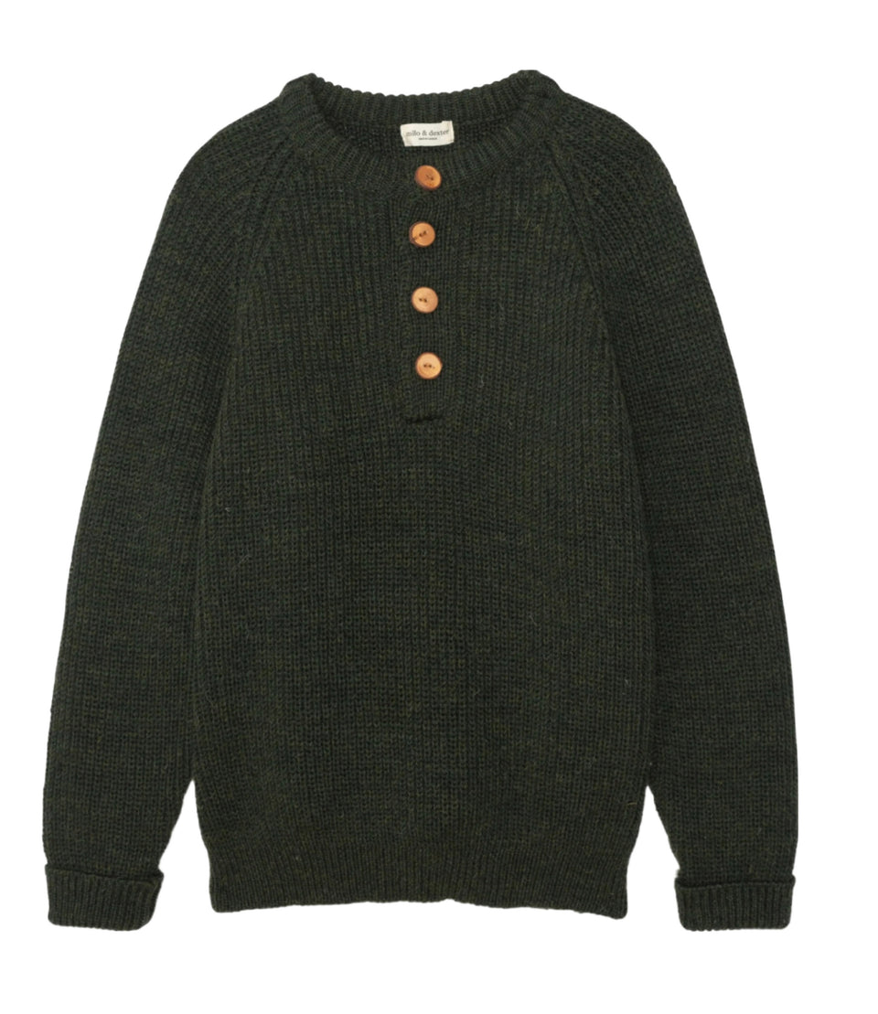 MILO AND DEXTER Hand knit wool pull en vert